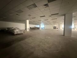 Techview (D14), Factory #589654591
